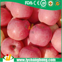 Fuji Manzanas mejor precio desde China proveedor